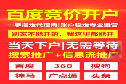 SEM托管公司案例：业绩提升之道